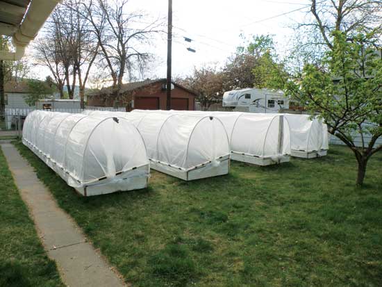 Hoop House Plans for Your Backyard Garden - Grit